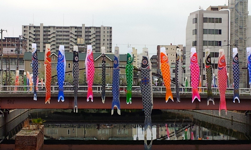 f0054677_9145112.jpg