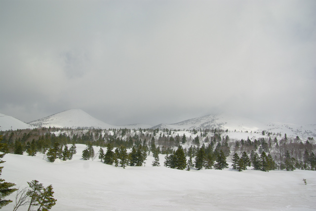 d0165378_1115263.jpg
