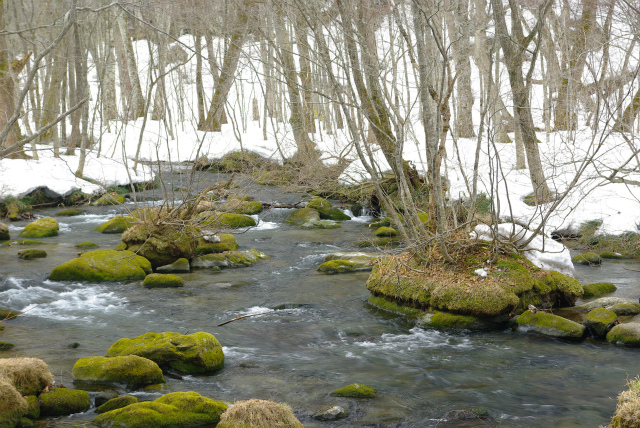 d0165378_119776.jpg
