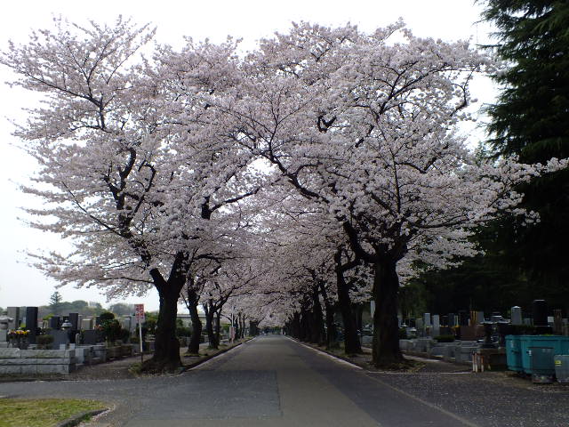 e0145782_618484.jpg
