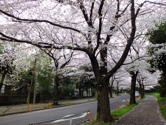 e0145782_6273869.jpg