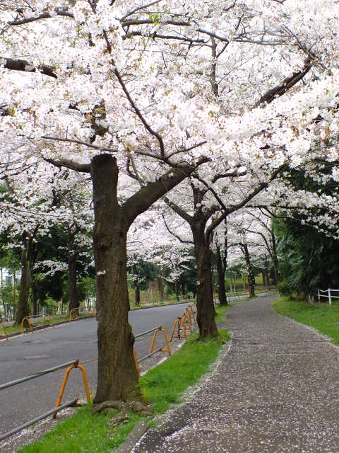 e0145782_6282649.jpg