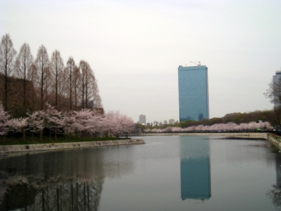 c0107588_20354015.jpg