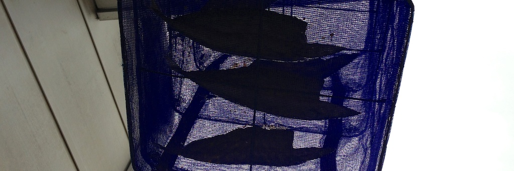 c0170789_16371348.jpg