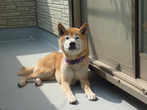 c0123890_1515022.jpg