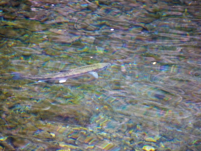 e0202393_22455725.jpg