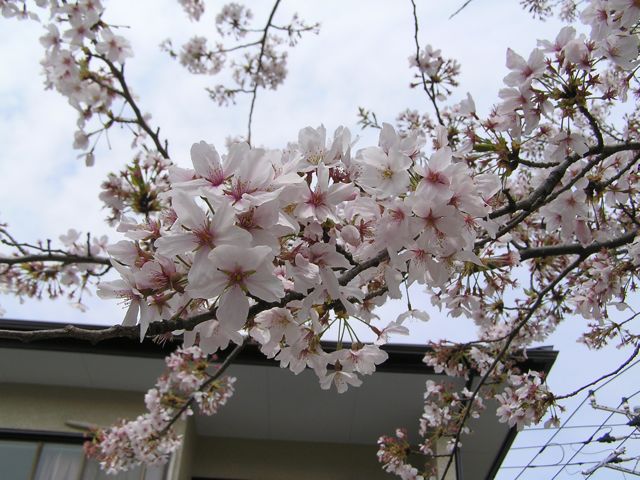 f0130894_21284542.jpg