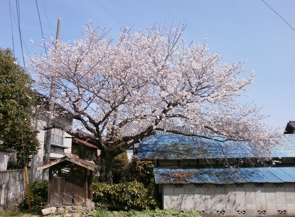 d0000995_14102736.jpg