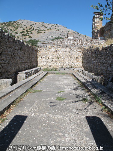 c0010496_8181214.jpg