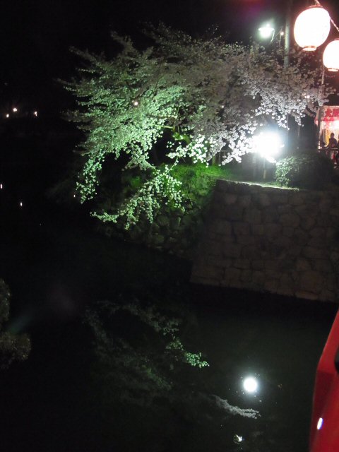a0194797_0402414.jpg