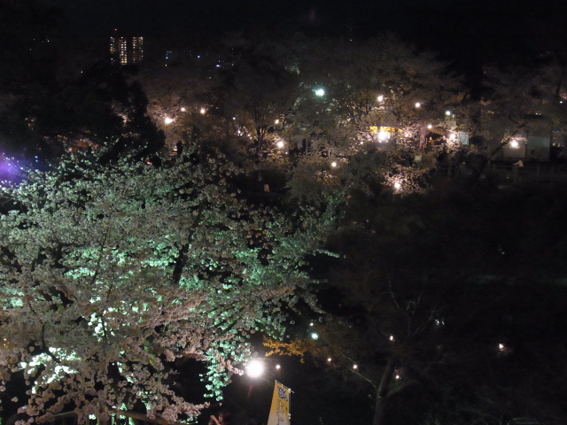 a0194797_0414764.jpg