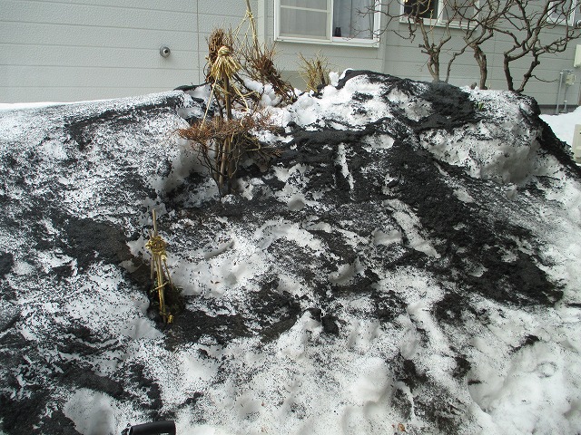 f0202703_23134151.jpg