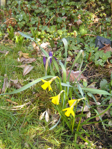 e0211204_6375088.jpg