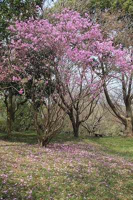 a0188405_1244840.jpg