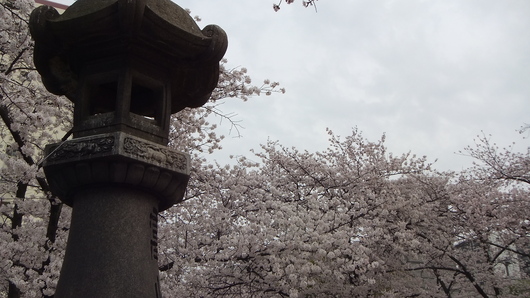 c0278306_1914320.jpg