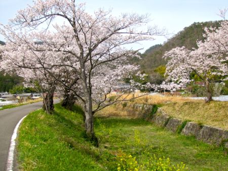 b0051109_9121783.jpg
