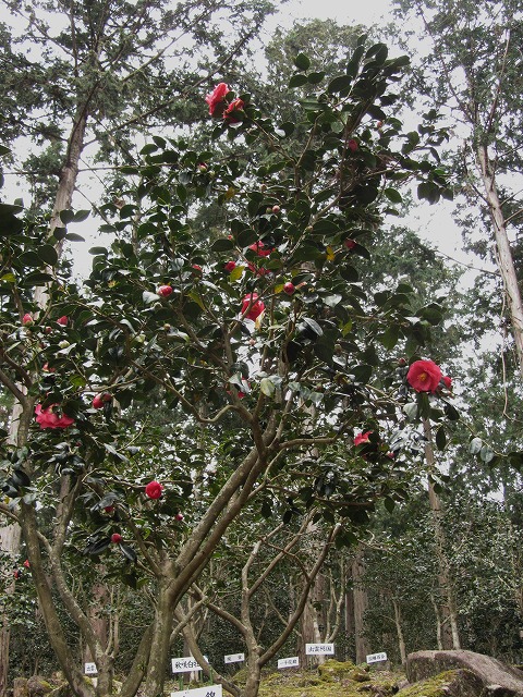d0154609_10271483.jpg
