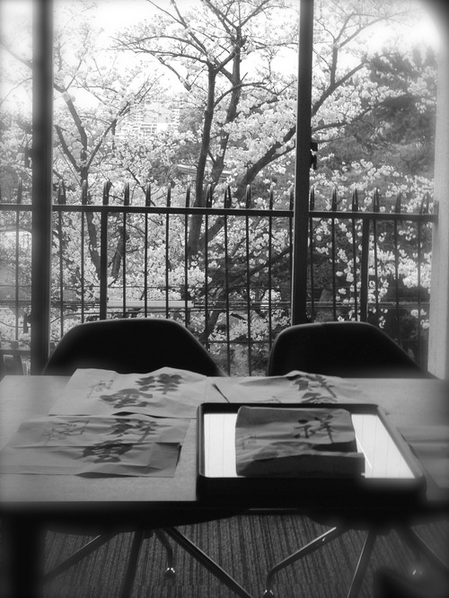 c0114110_102357.jpg