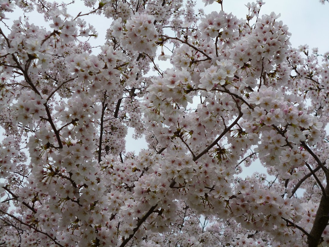 c0280416_2192327.jpg