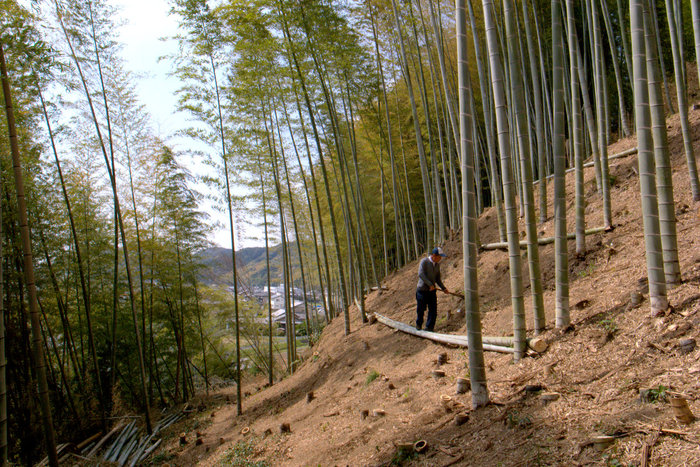d0072720_23202757.jpg