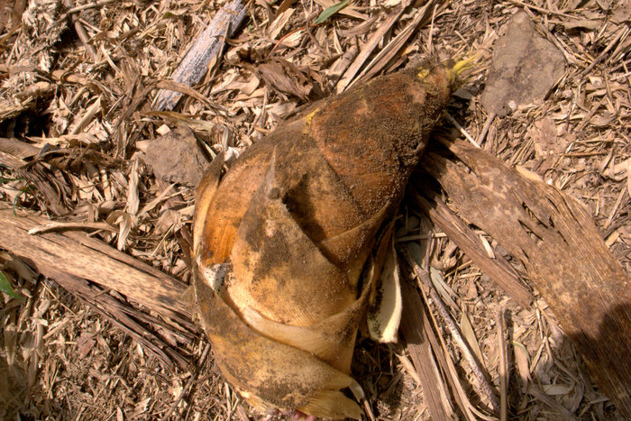 d0072720_23221640.jpg