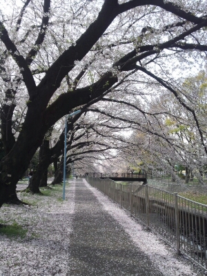 f0106823_1636919.jpg