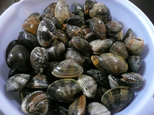 c0009528_2061527.jpg