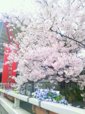 c0216434_14268.jpg