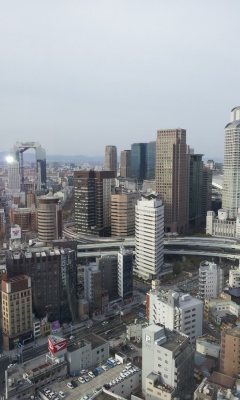 a0059035_20363071.jpg