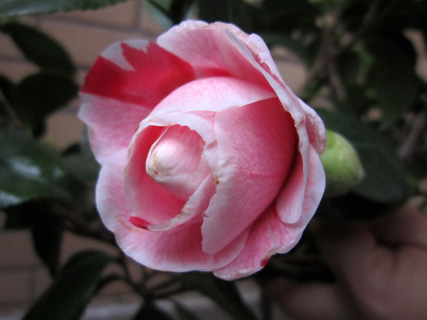 f0234936_6505364.jpg
