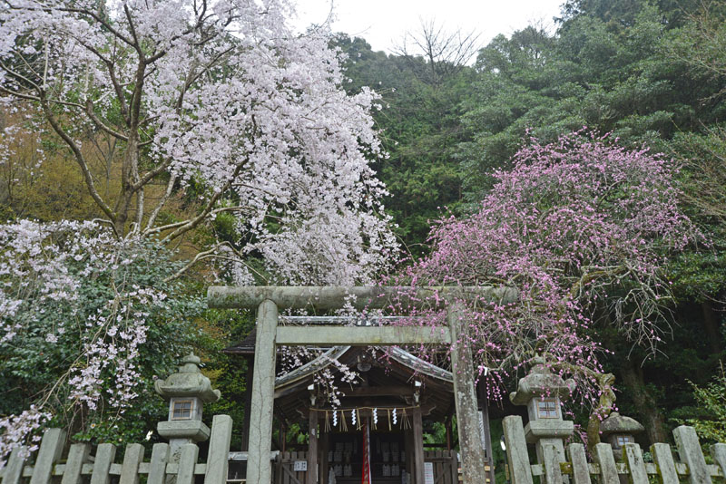 b0042837_15334652.jpg