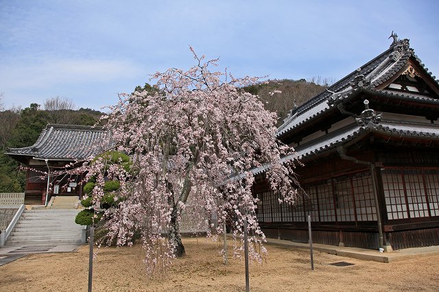 a0242438_19282579.jpg