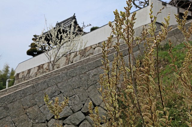 a0242438_19293542.jpg