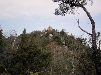 e0110940_0302622.jpg