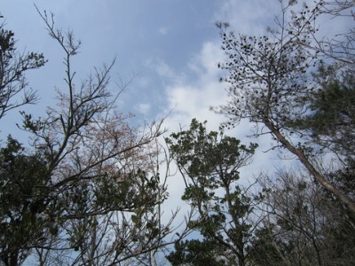 e0110940_0343236.jpg