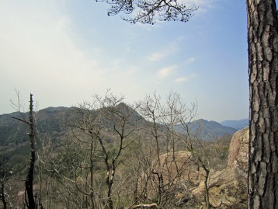 e0110940_040786.jpg
