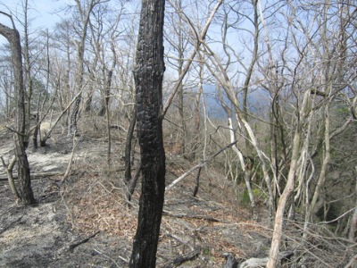 e0110940_0414429.jpg