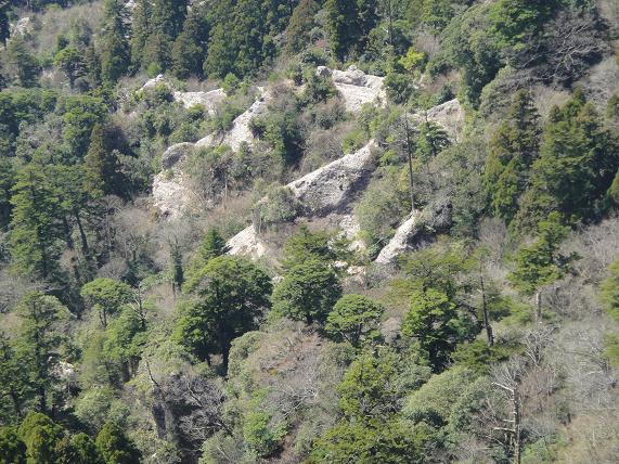 e0164643_22493662.jpg