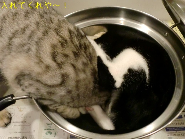 c0259945_8563223.jpg