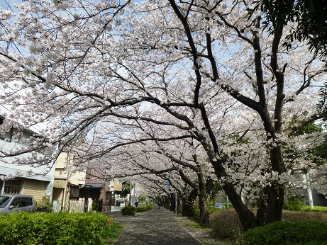 f0107145_18201215.jpg