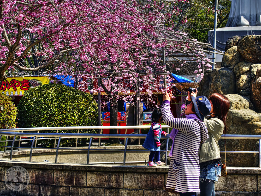 b0135347_23524711.jpg