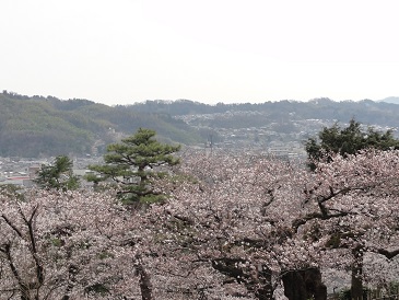 f0231147_2343730.jpg