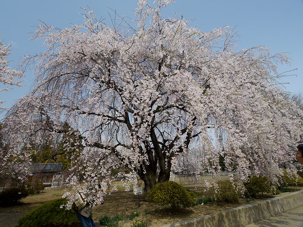 d0091754_16482397.jpg