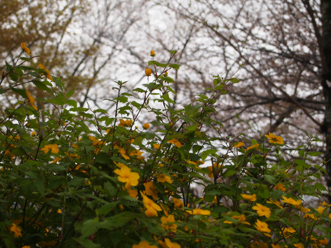 a0212656_17585893.jpg