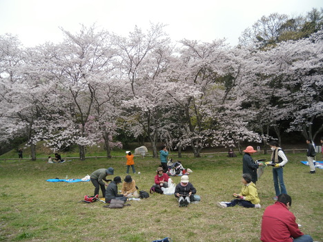 c0125356_19524486.jpg