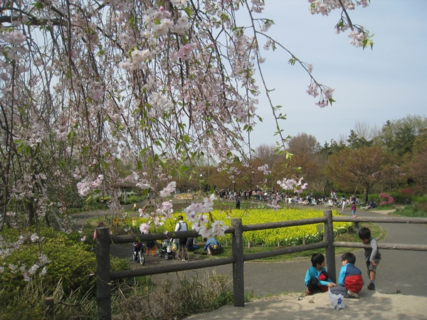 e0020957_15123690.jpg