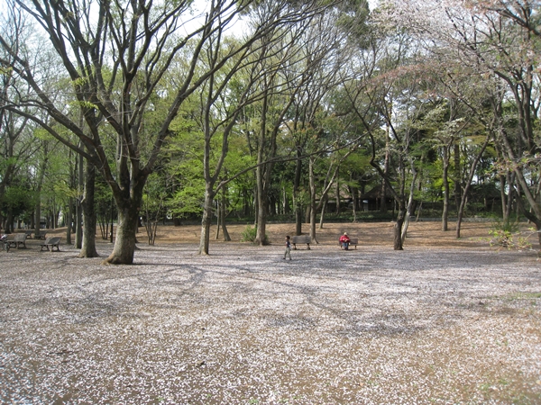 e0020957_15143899.jpg