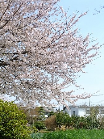 c0097558_189280.jpg