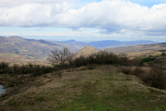 f0077159_193185.jpg