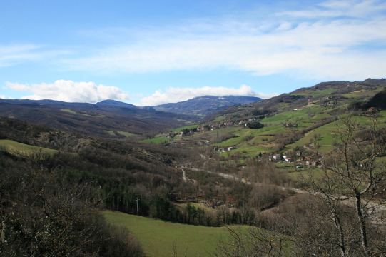 f0077159_5145394.jpg